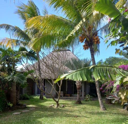 Brahmanhut - Eco Hut Experience In Harmony With Nature, Wellbeing And Spirit Bain Boeuf المظهر الخارجي الصورة